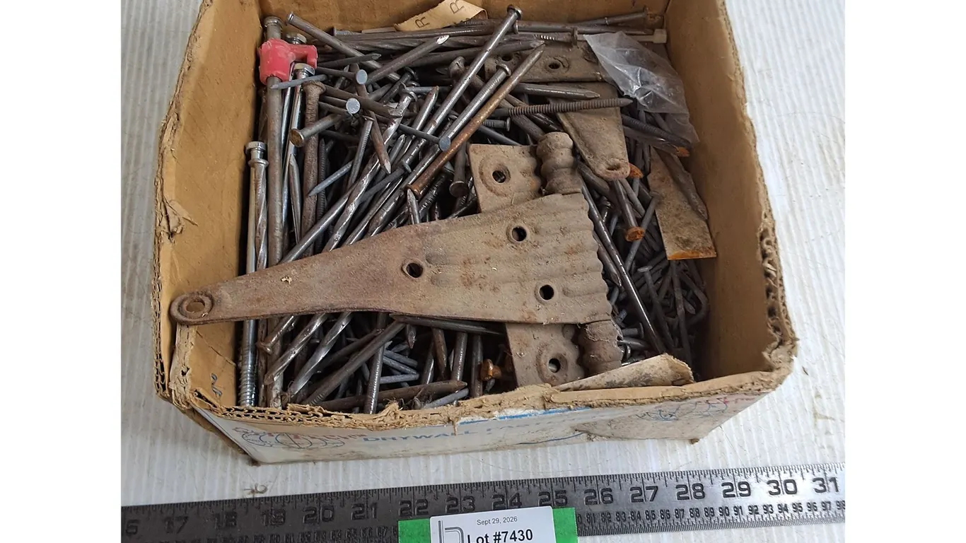 Bulk Long Nails & Bolts, Hinges, Misc. - Pickup Preferred