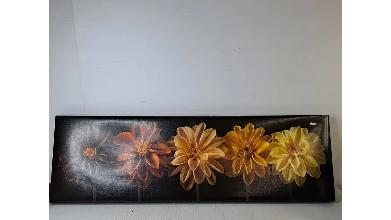 Wall Art Canvas Photo 11"x36" ( cannot ship)