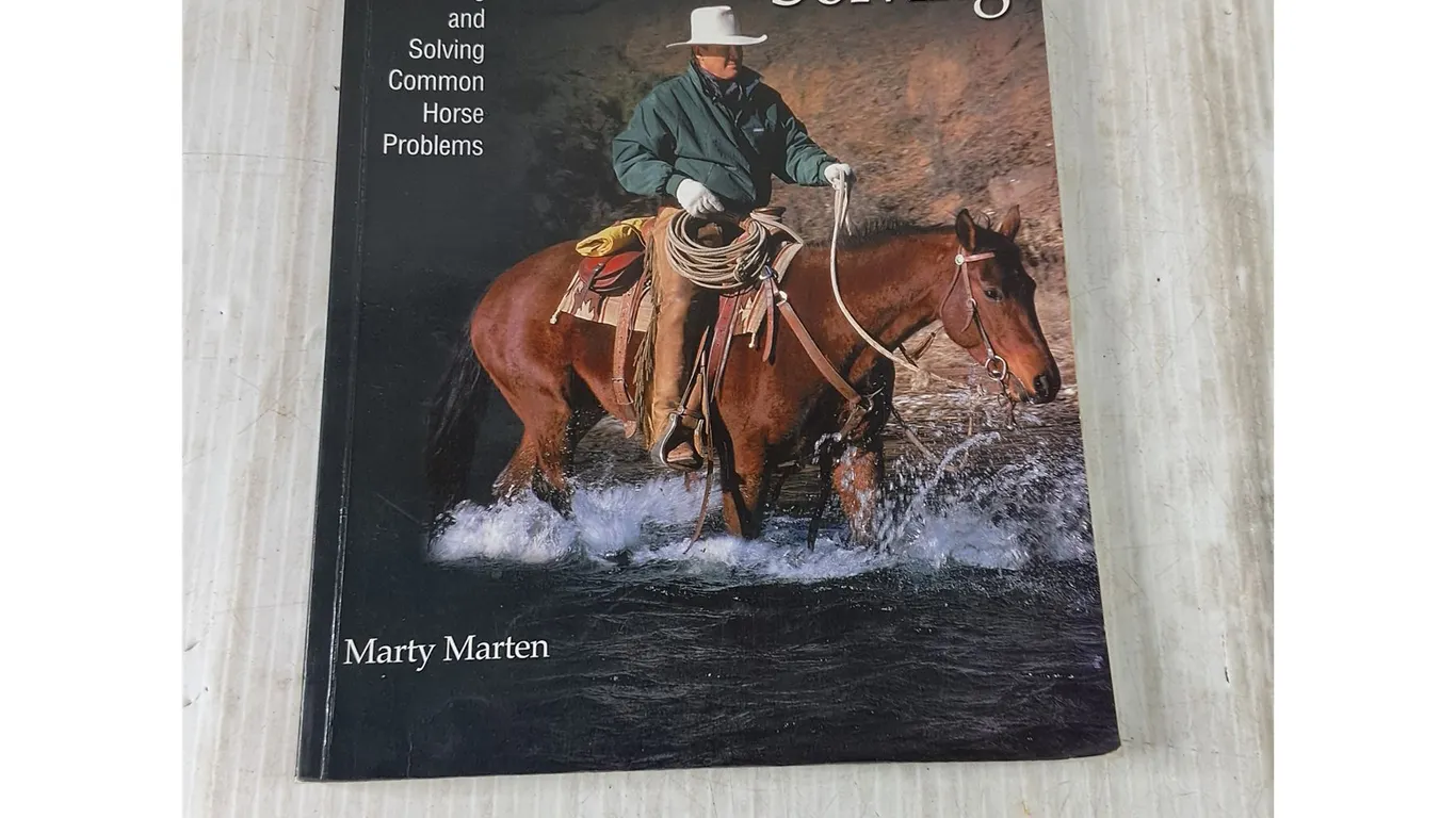 Western Horseman Problem-Solving Book