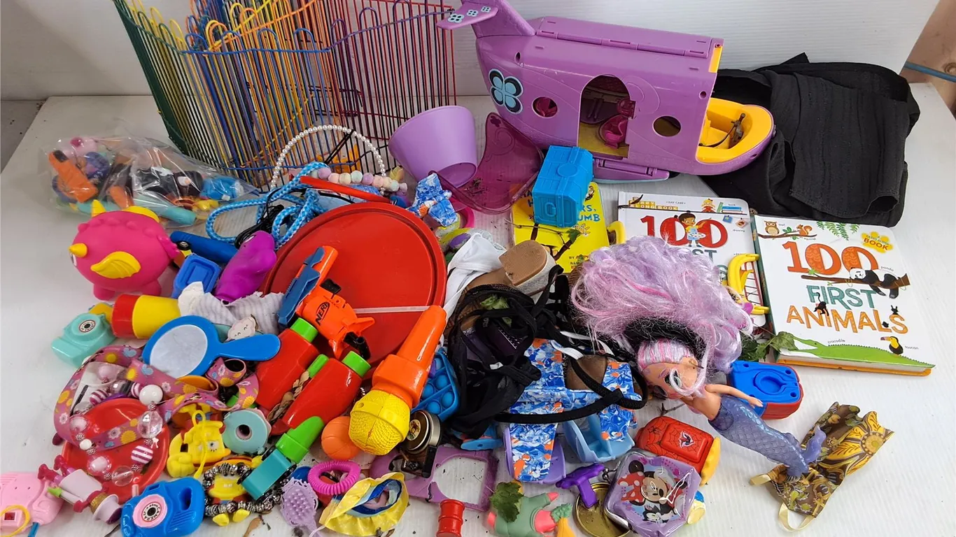 Assorted Kids Books & Toys