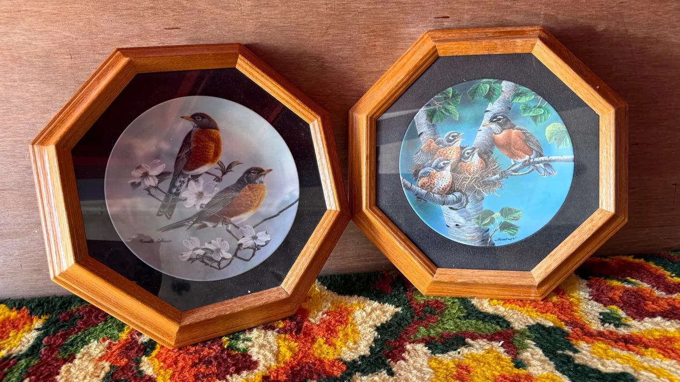 (2) Decorative Bird Plates