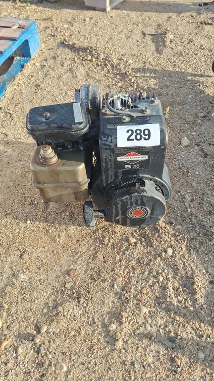 Briggs and stratton 5Hp