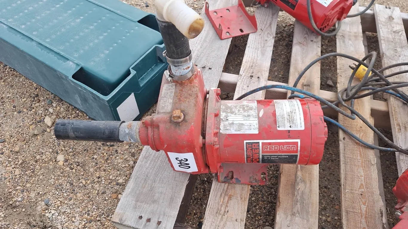 Red lion pump