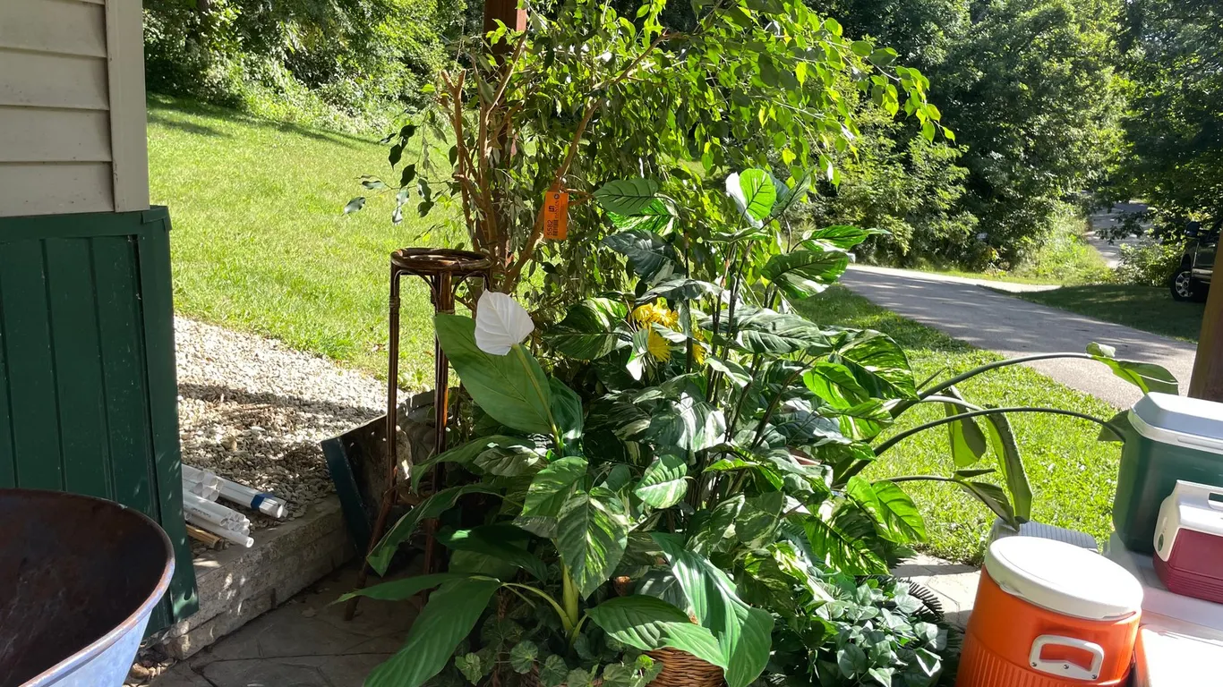 Artificial Plants