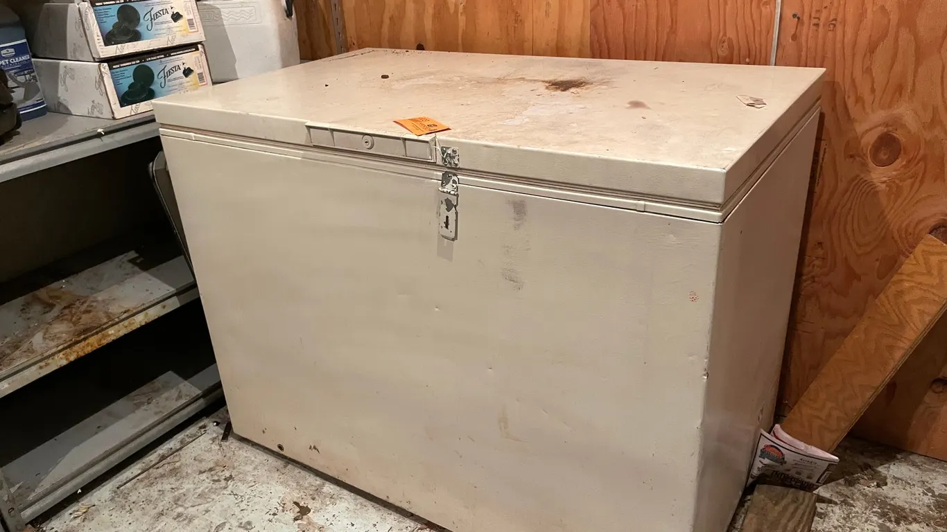 Chest Freezer