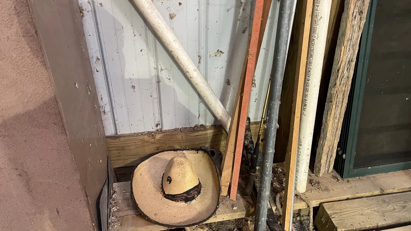 (2) Green Treated Posts