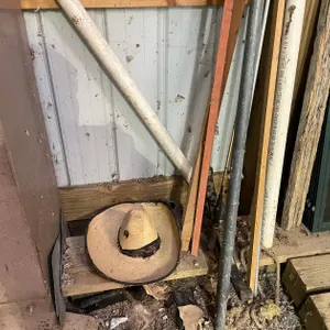 (2) Green Treated Posts