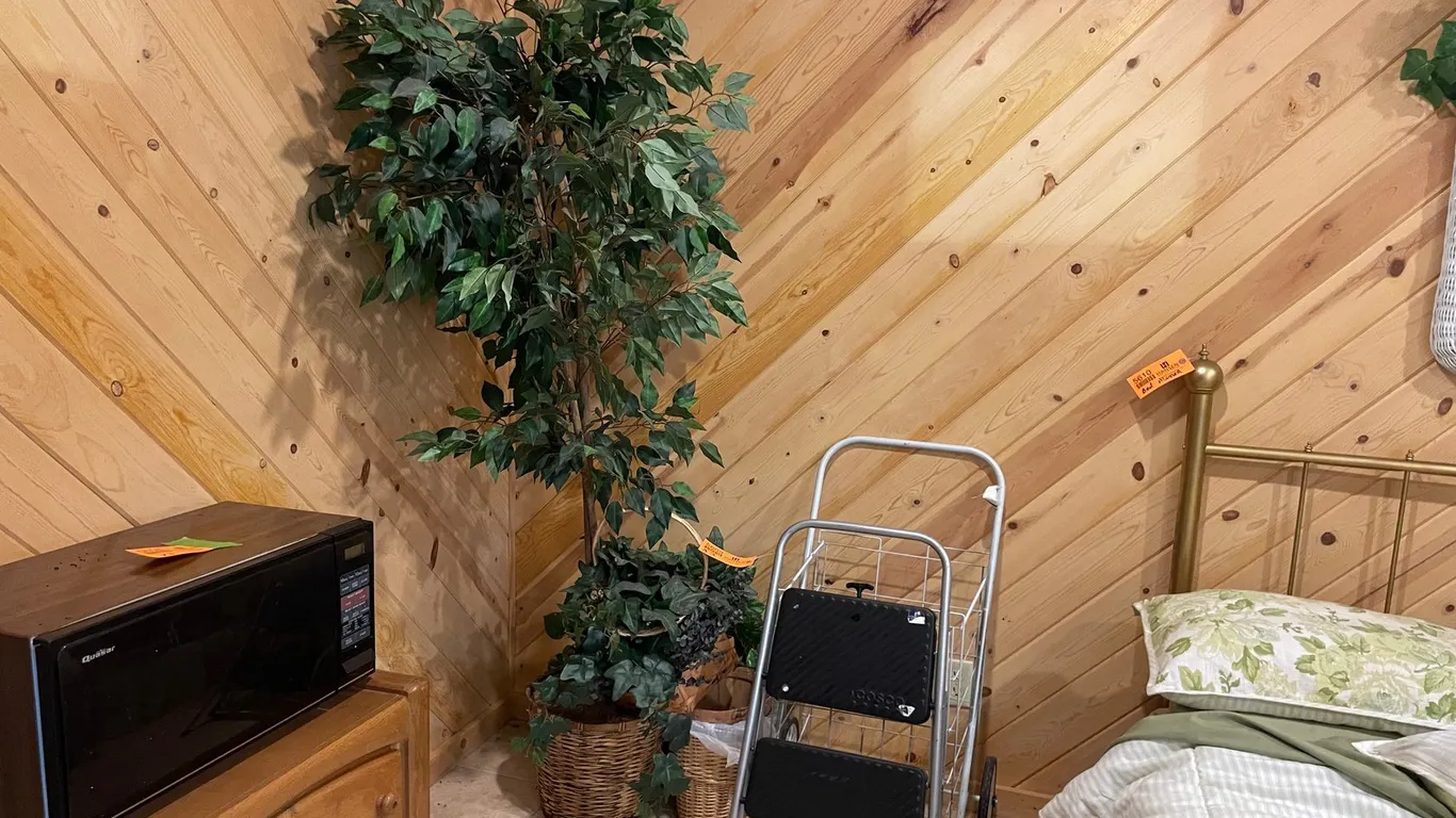 Artificial Plants
