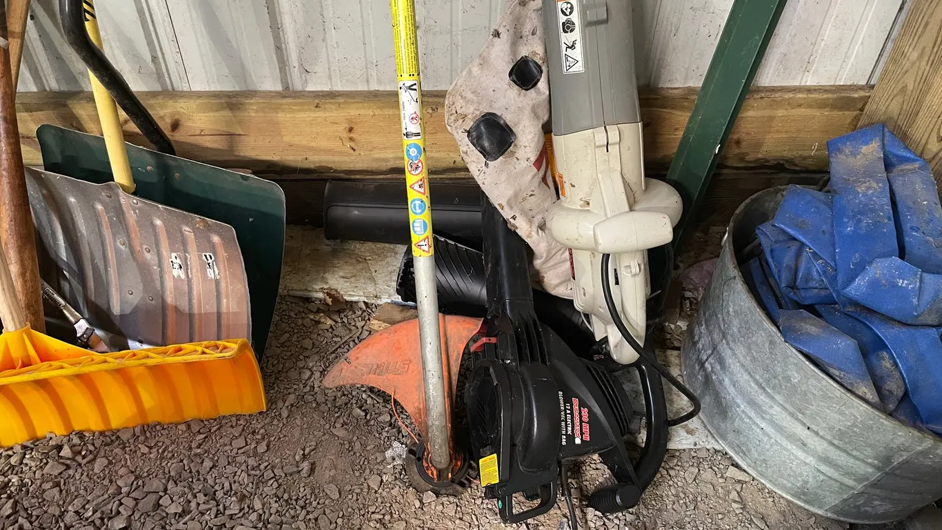 Stihl FS46 Weed Whip