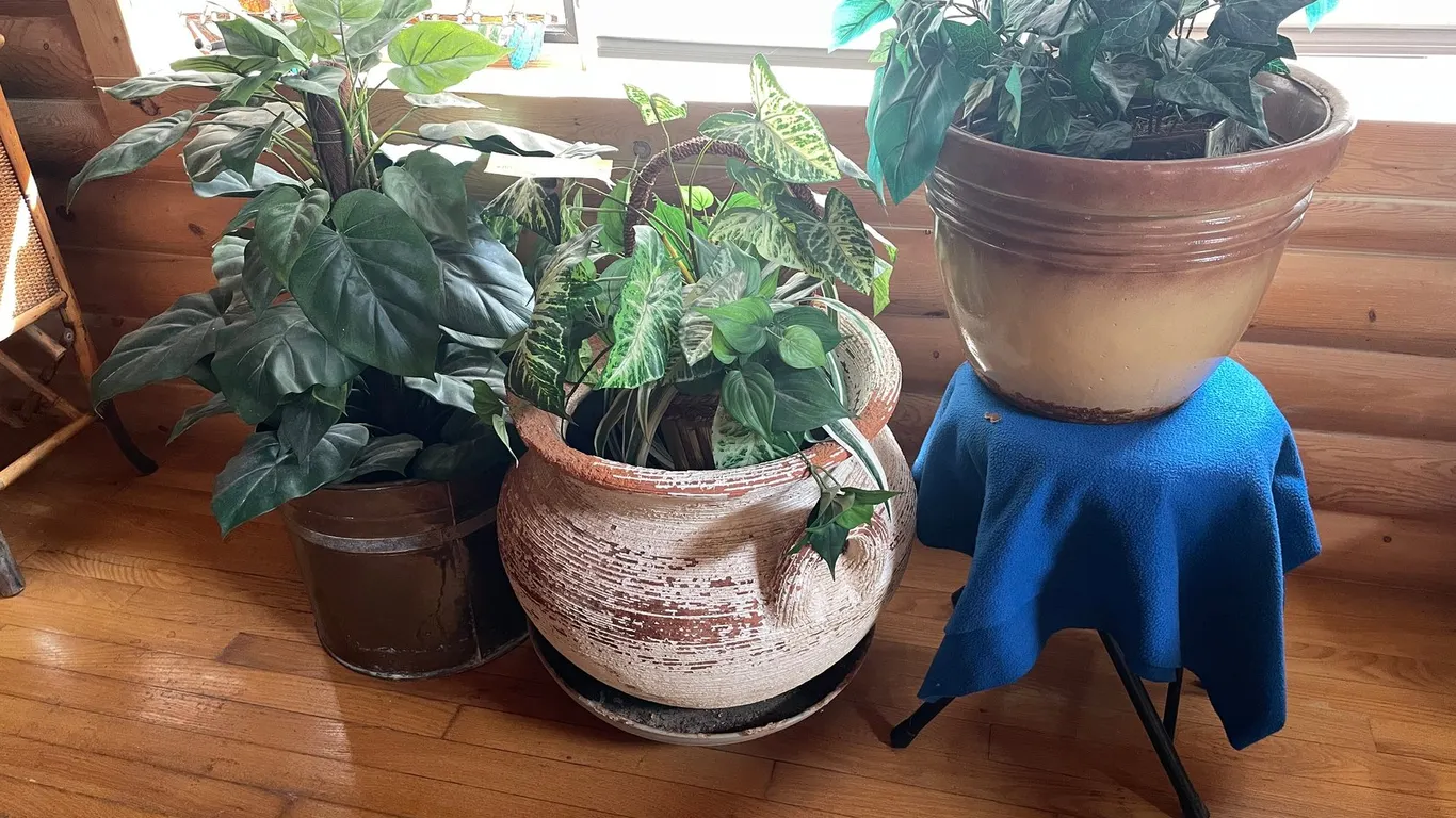 (3) Large Artificial Plants
