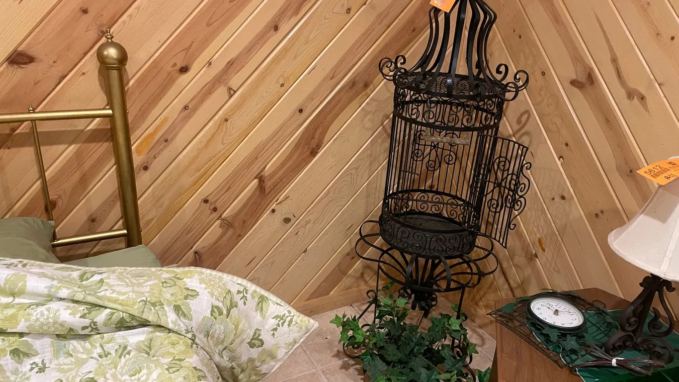 Metal Bird Cage