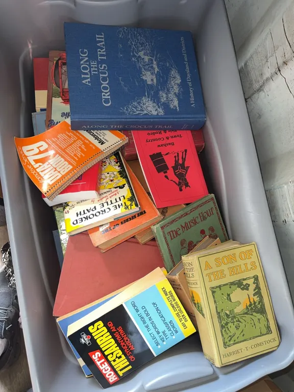 Vintage and Classic Hardcover and Paperback Books