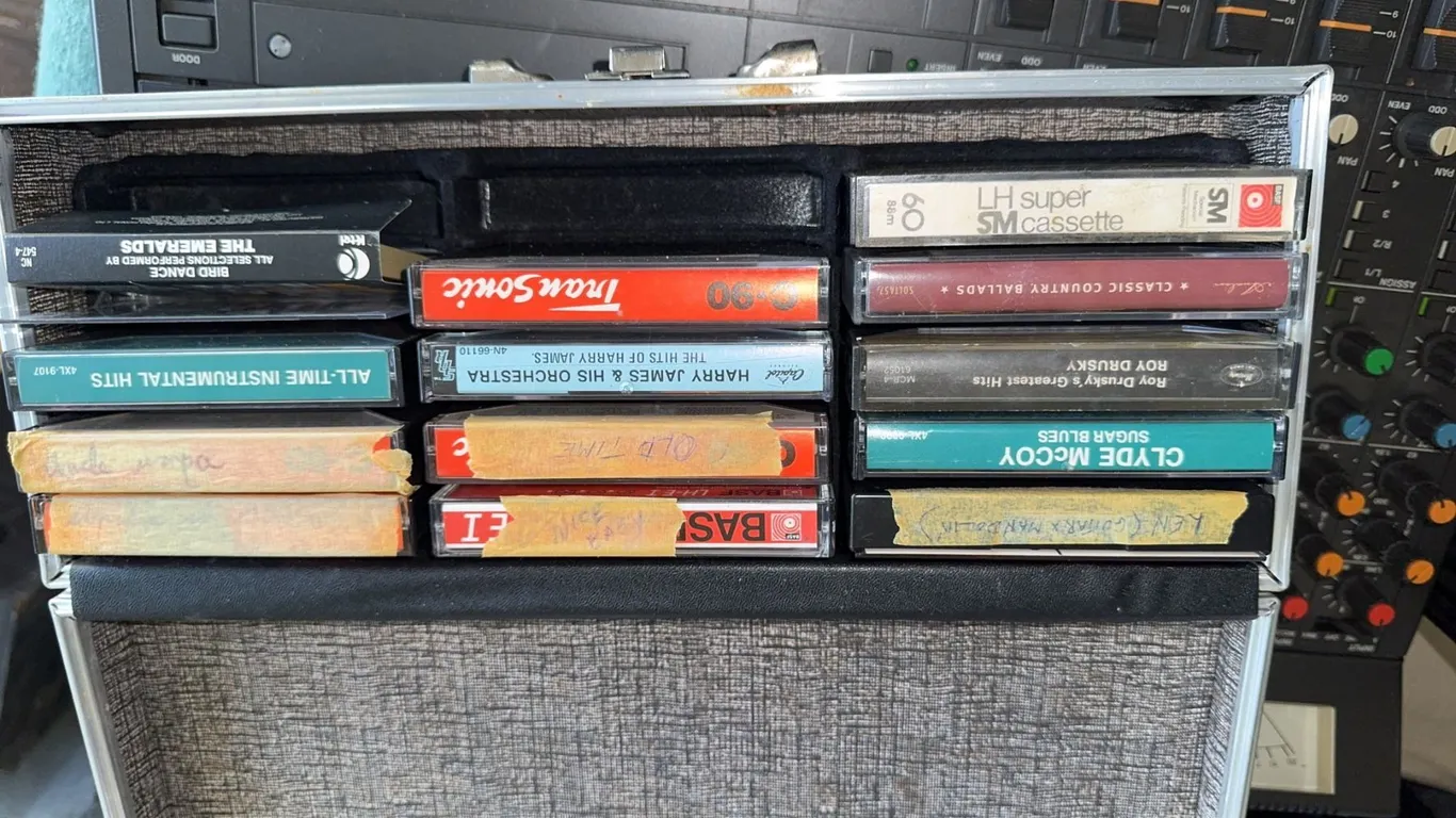12 Cassette Tapes in Carrying Case