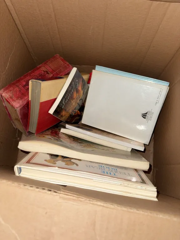 Box Lot of Books Including The Teddy Bear
