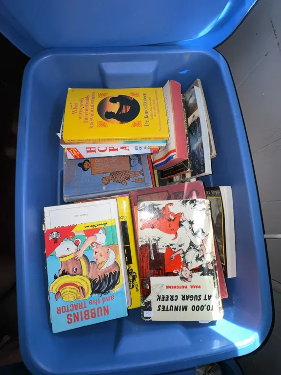 Children's and Classic Books Lot in Storage Bin