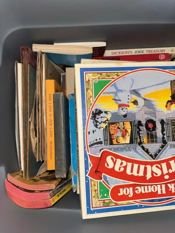 Vintage Books and 78 RPM Records in Bin