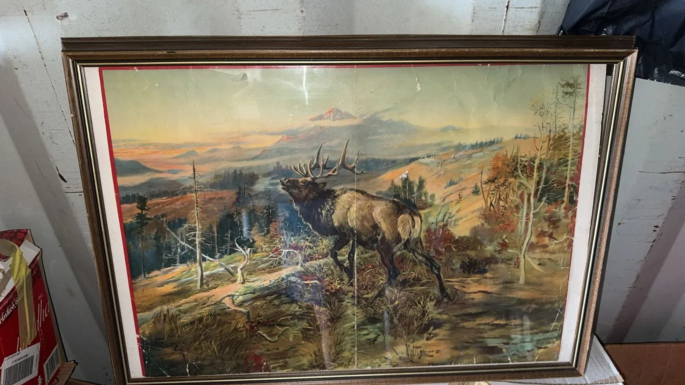 Framed Print of Elk in Mountain Landscape Scene