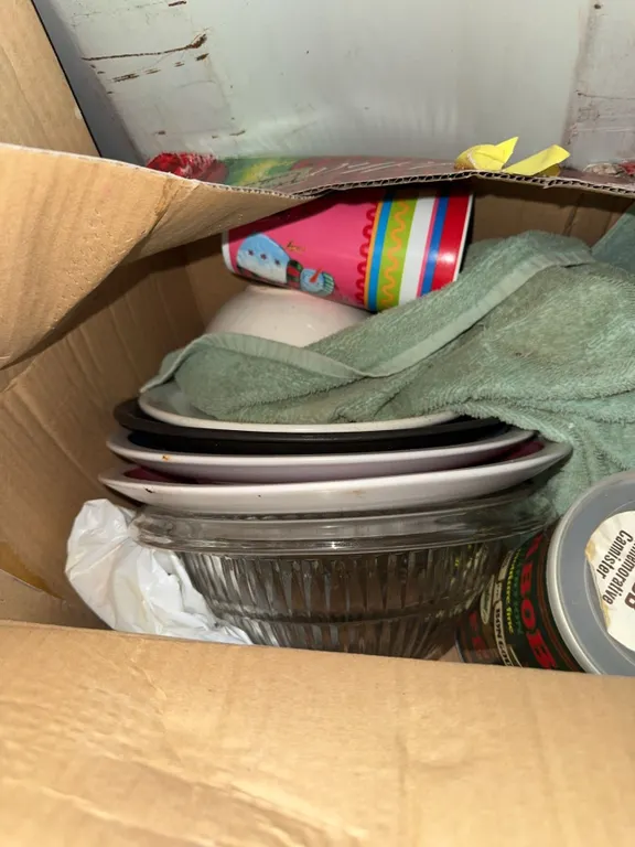 Kitchenware Lot: Plates, Bowl, Glass Canister, and Plastic Items
