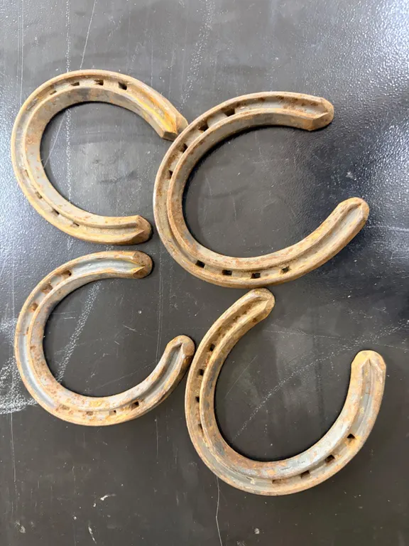 Horseshoes