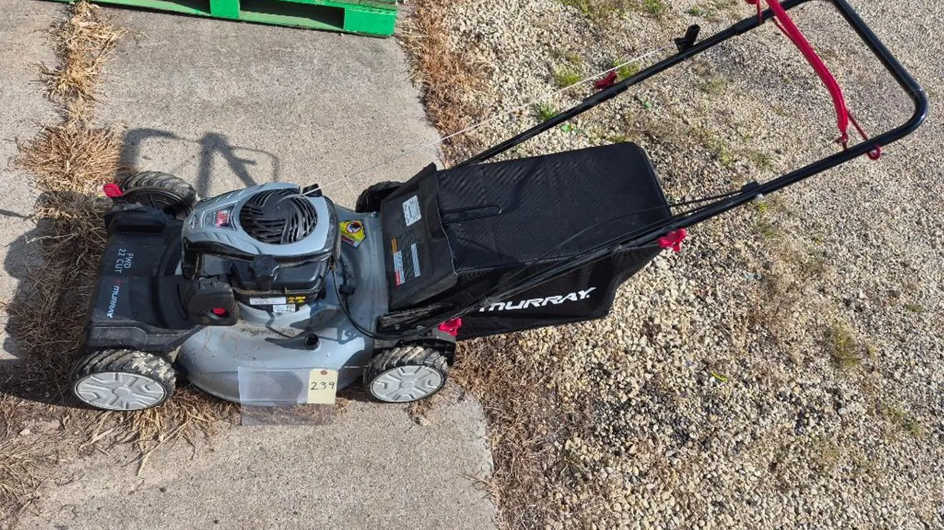 22 in. 140 cc Briggs & Stratton Walk Behind