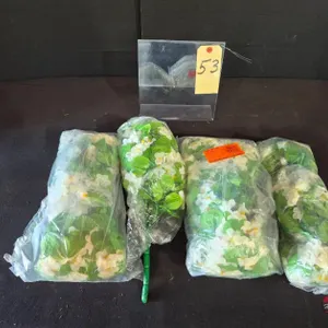 New White Artificial Fake Hanging Flowers Plants