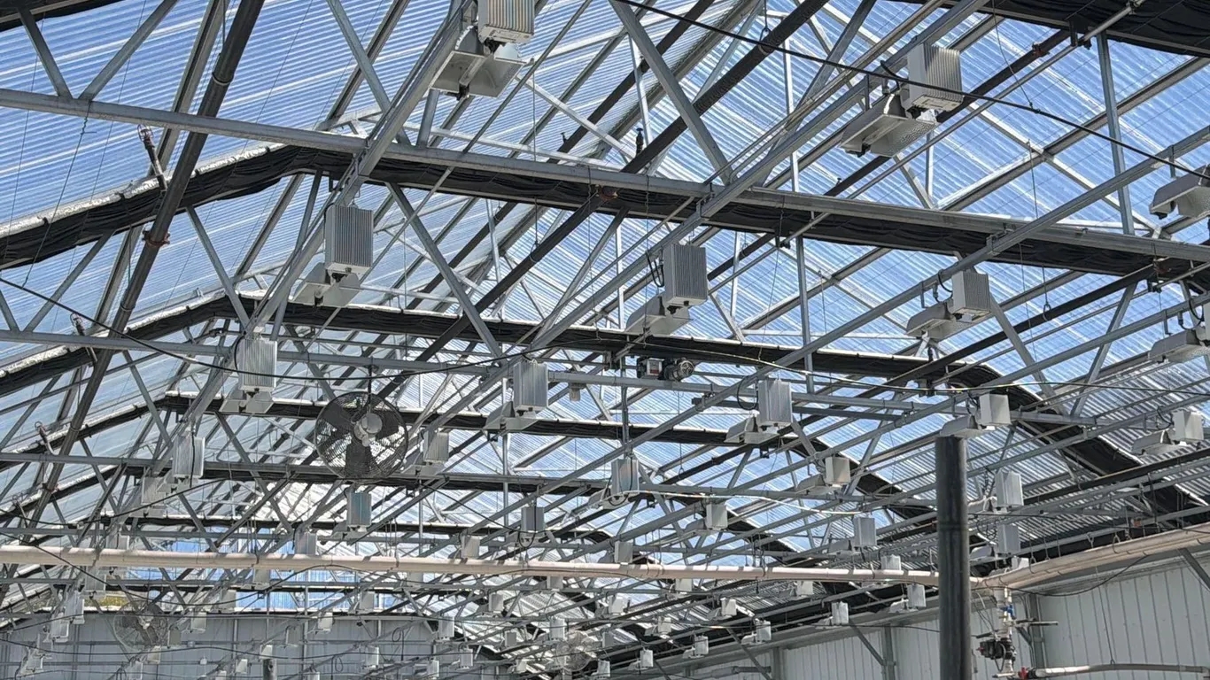GROWHOUSE LIGHTS LOT