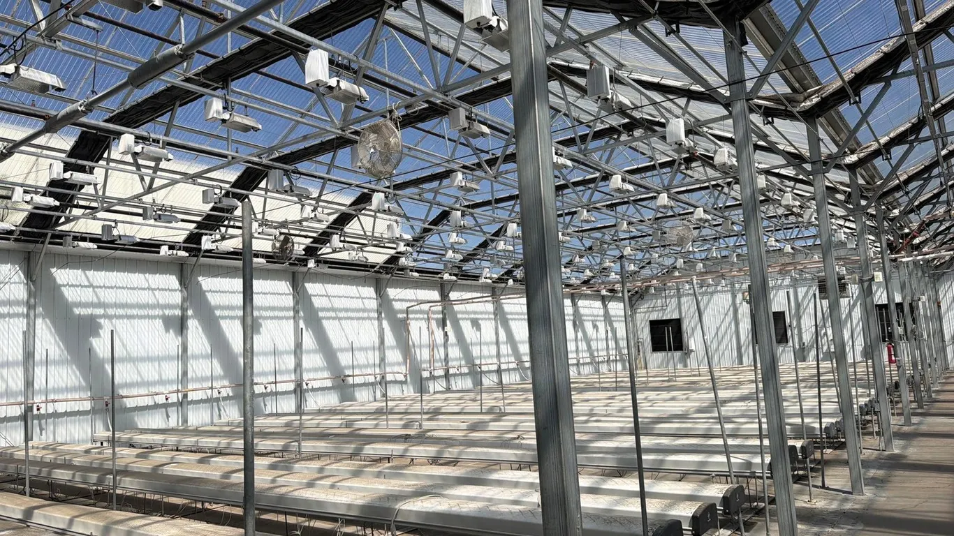 GROW ROOM LIGHTS LEFT SIDE