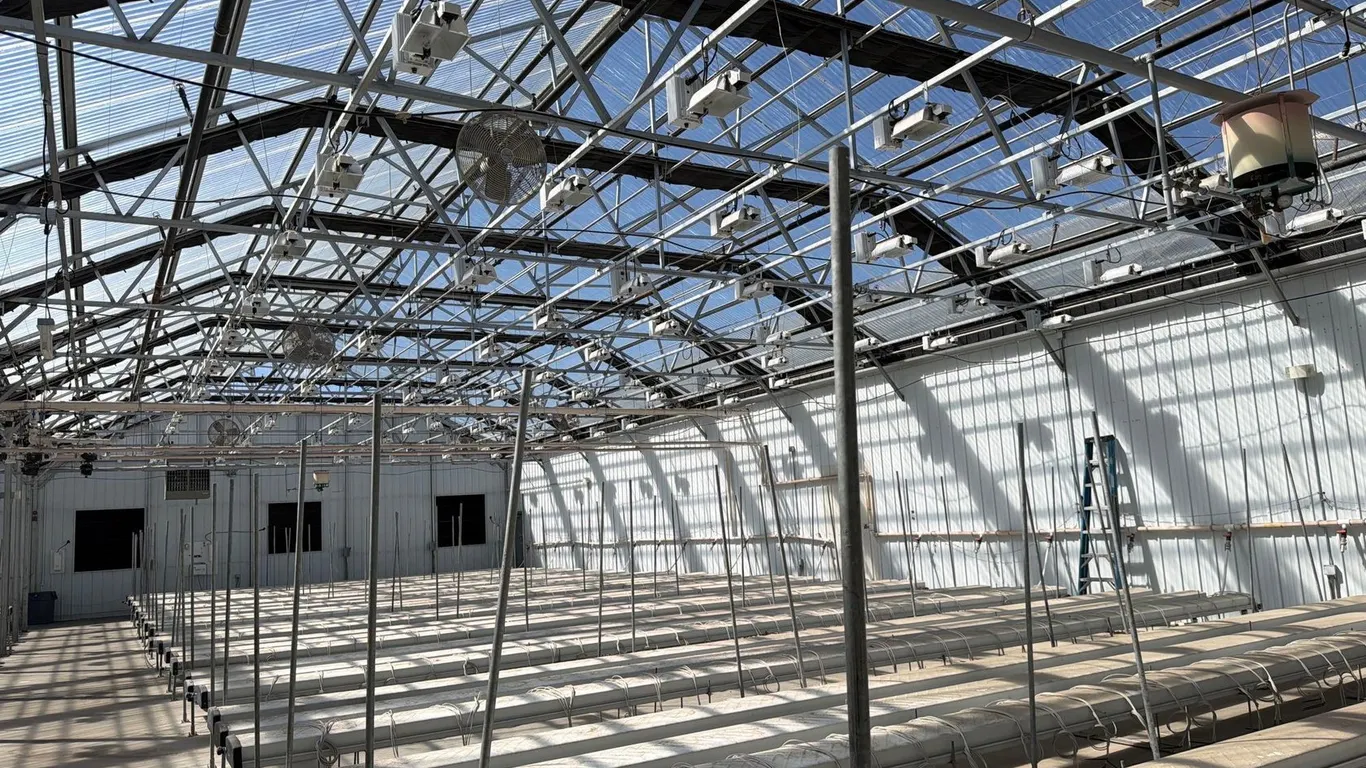GROW ROOM LIGHTS RIGHT SIDE
