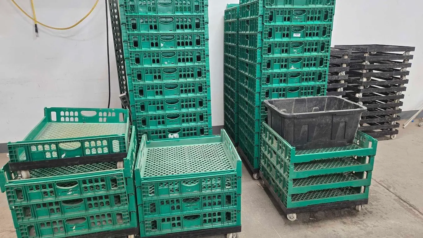LARGE QUANTITY AGRICULTURAL RACKS, BASES