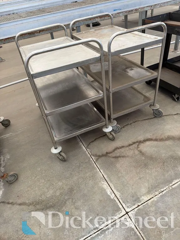 (2) STAINLESS STEEL CARTS