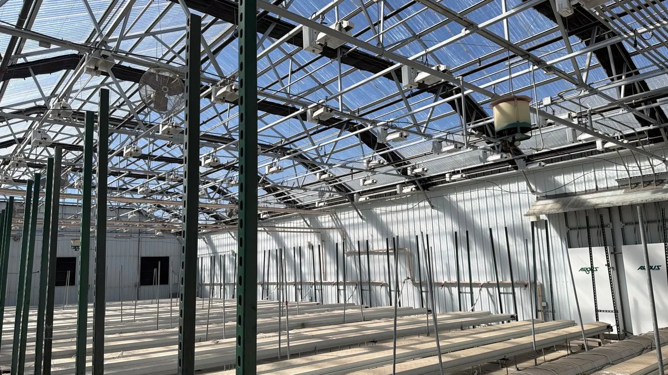 GROW ROOM LIGHTS RIGHT SIDE