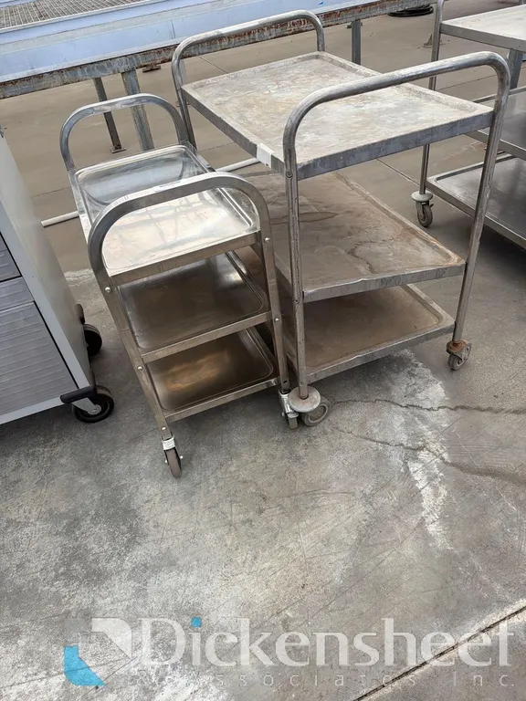 (2) STAINLESS STEEL CARTS