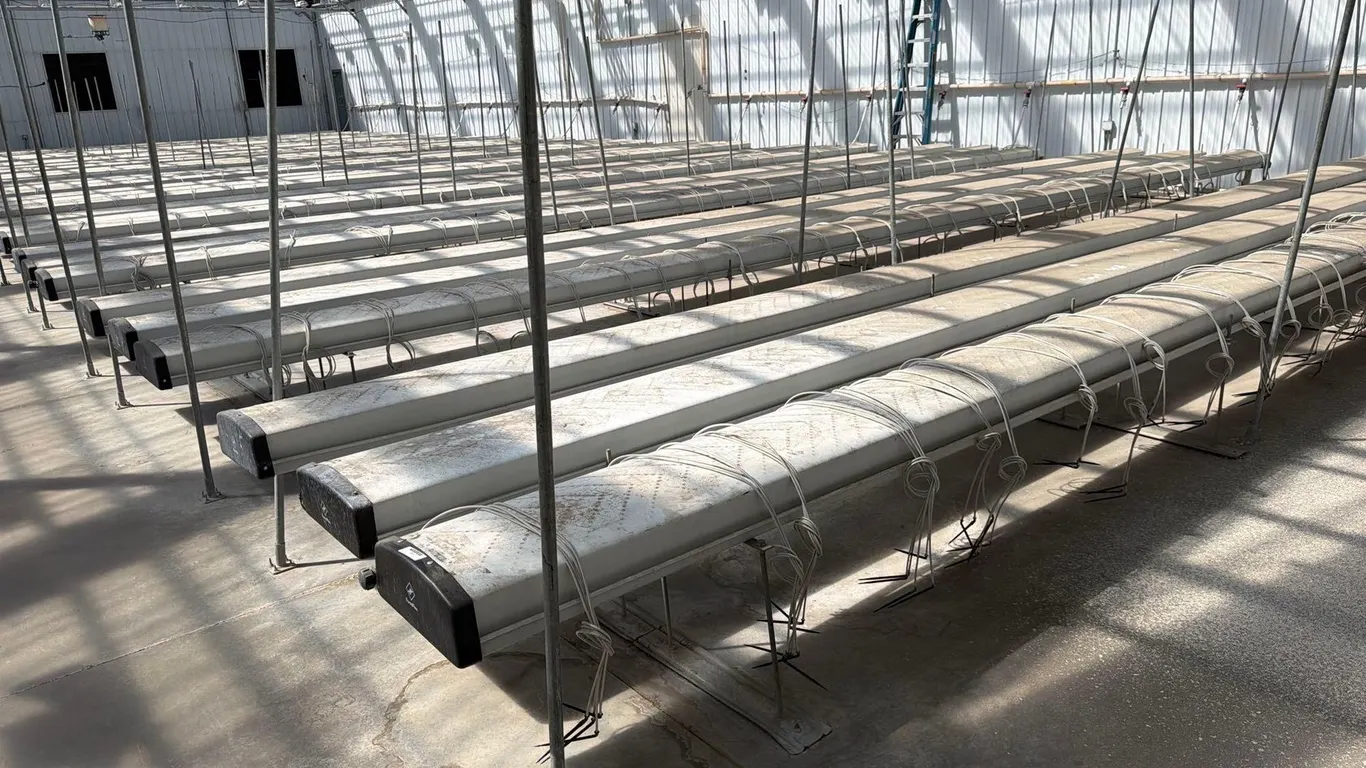 FORM FLEX GROW PAN