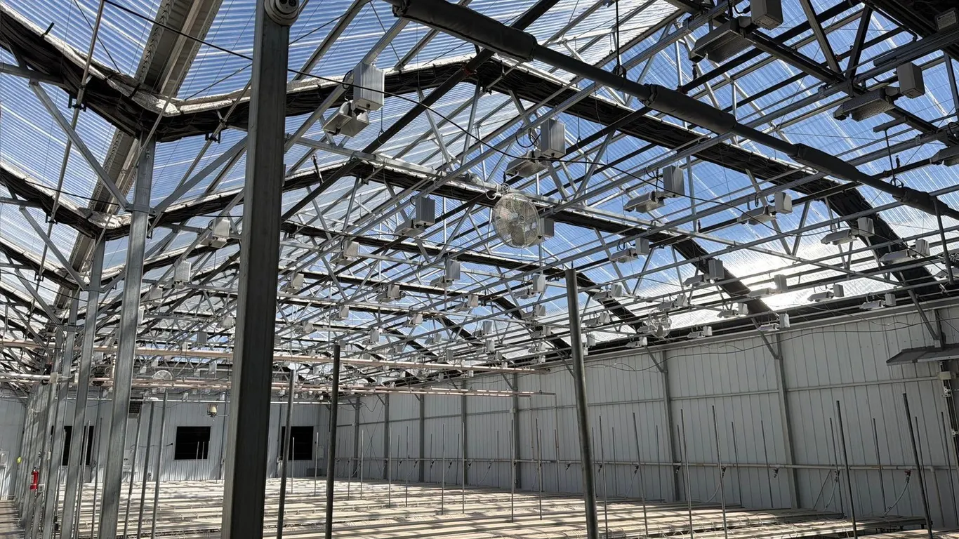 GROW ROOM LIGHTS RIGHT SIDE