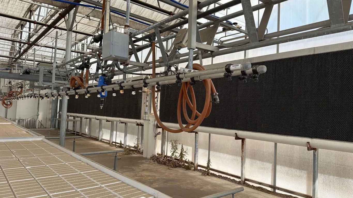 AUTOMATED MISTING SYSTEM.