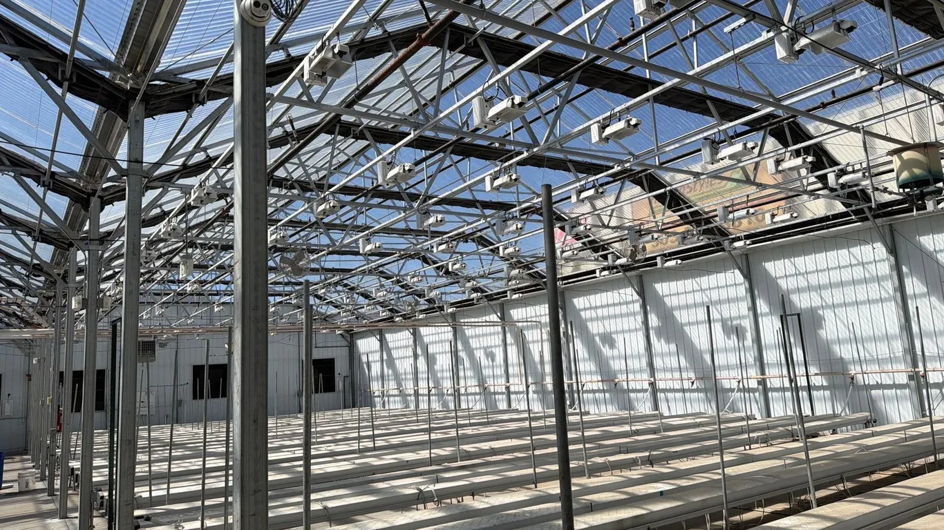 GROW ROOM LIGHTS RIGHT SIDE