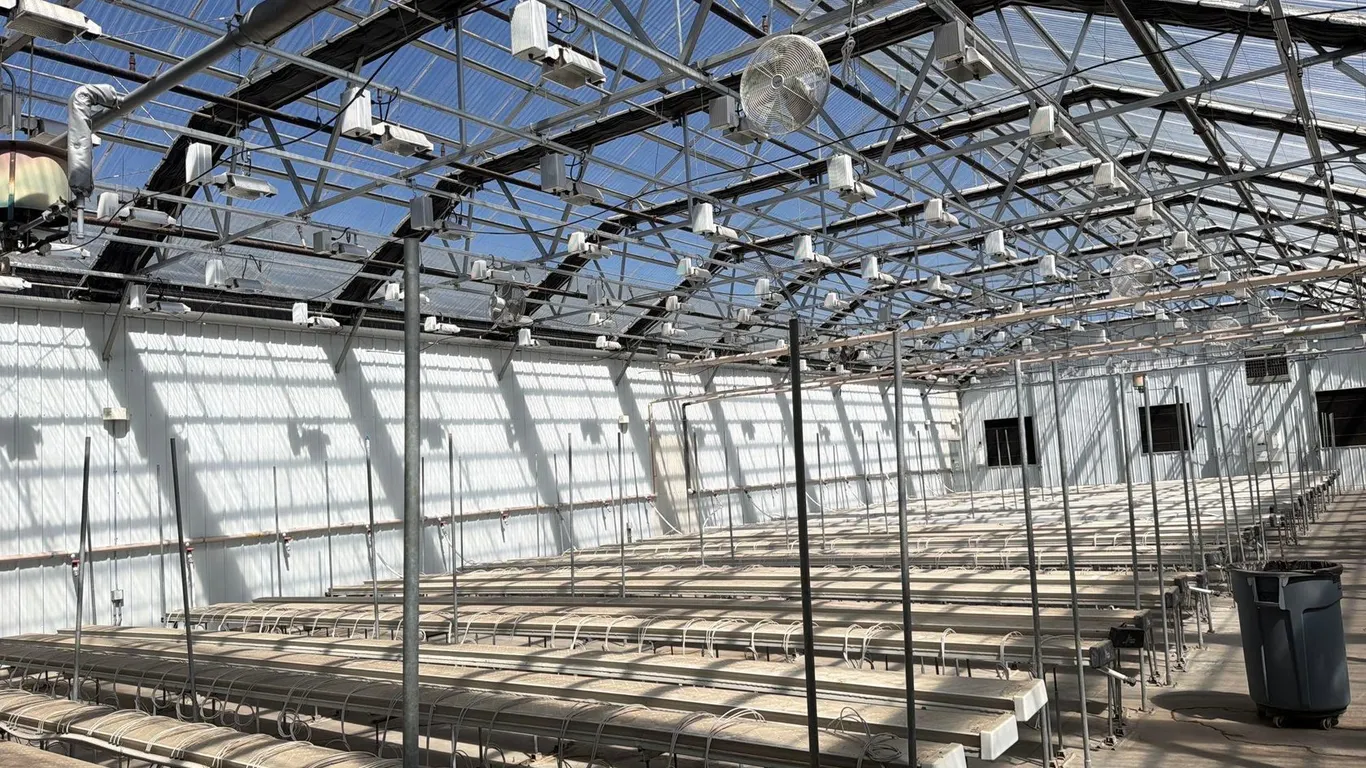 GROW ROOM LIGHTS LEFT SIDE