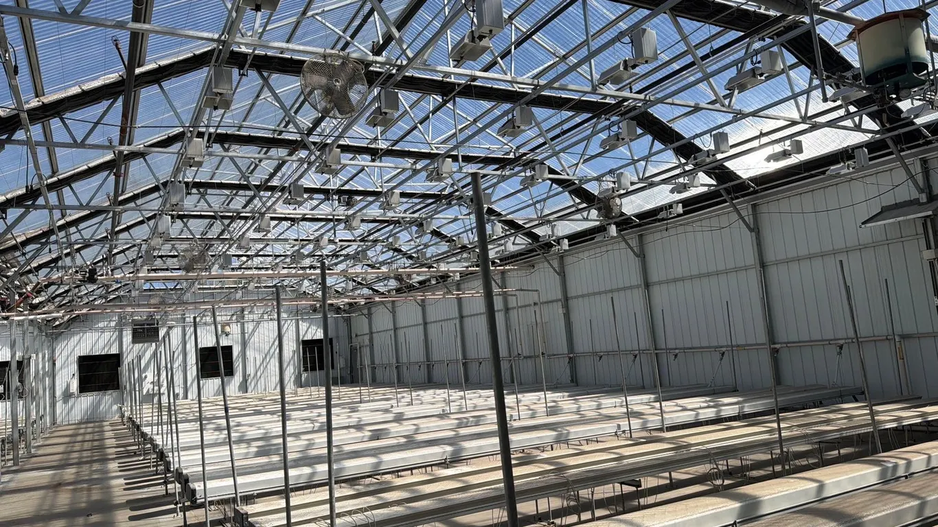 GROW ROOM LIGHTS RIGHT SIDE