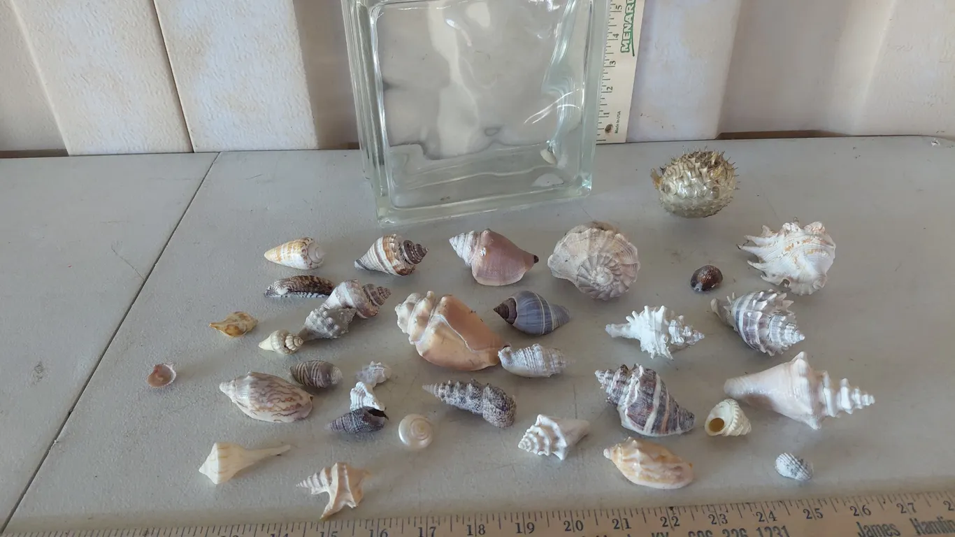 Glass Decor Block W/Assorted Sea Shells & Puffer Fish 7.75"X7.75"X3.75"