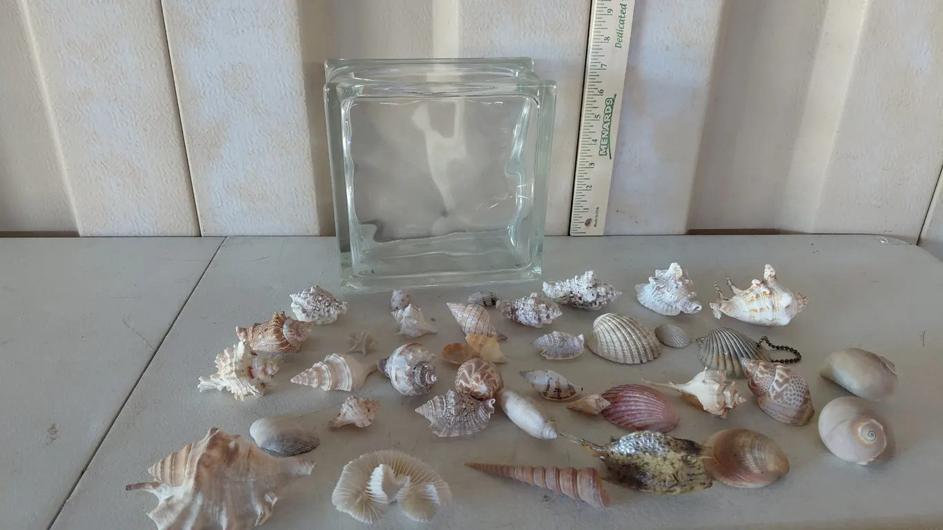 Glass Decor Block W/Assorted Sea Shells & Puffer Fish 7.75"X7.75"X3.75"