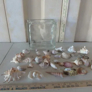 Glass Decor Block W/Assorted Sea Shells & Puffer Fish 7.75"X7.75"X3.75"