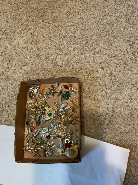 Numerous pins are brooches