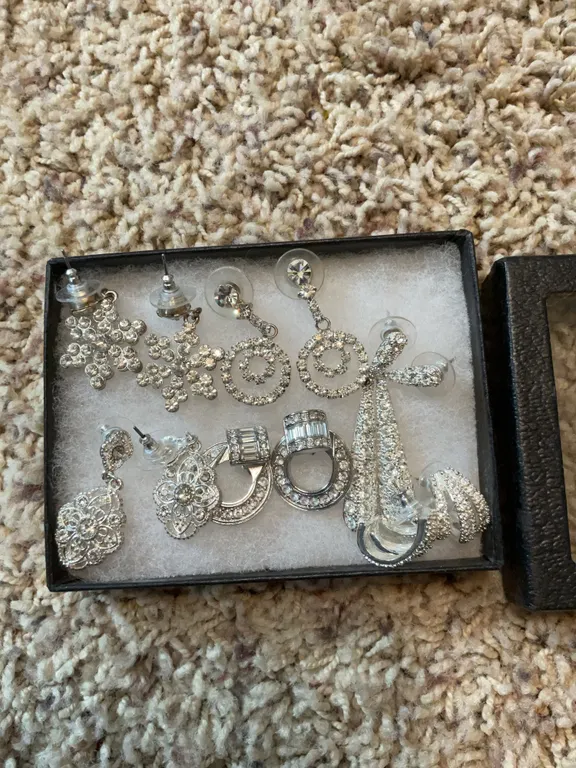 Earrings