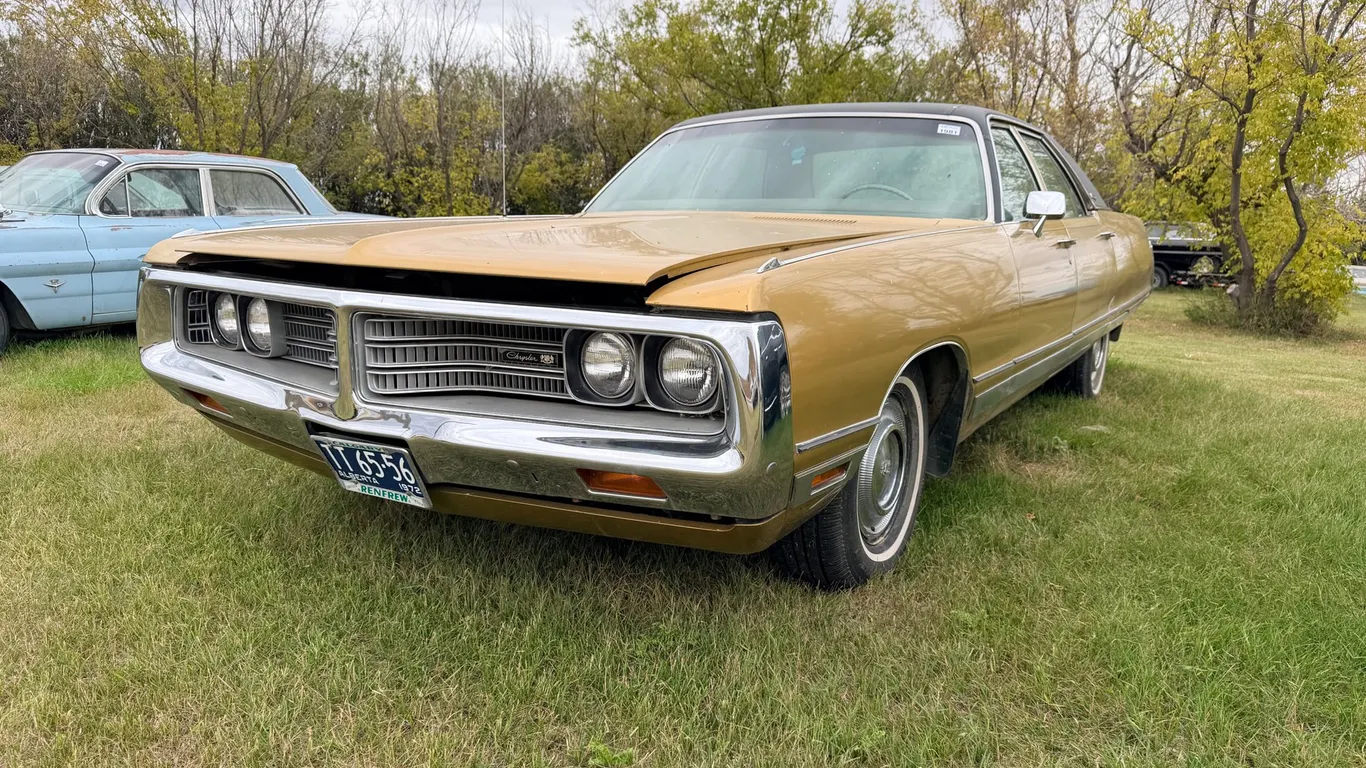 Lot 1981