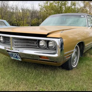 Lot 1981