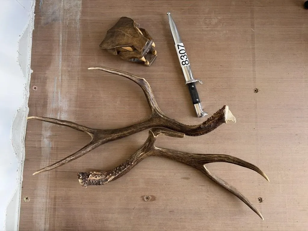 Antler Sheds & Bayonet