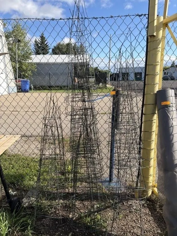 Tomato Cages - Approximately 40