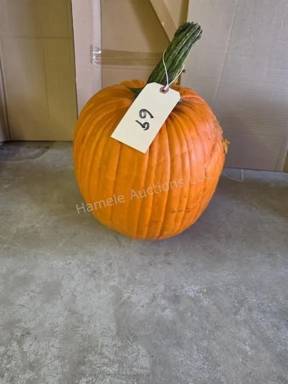 pumpkin