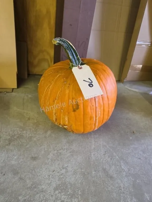 1 pumpkin