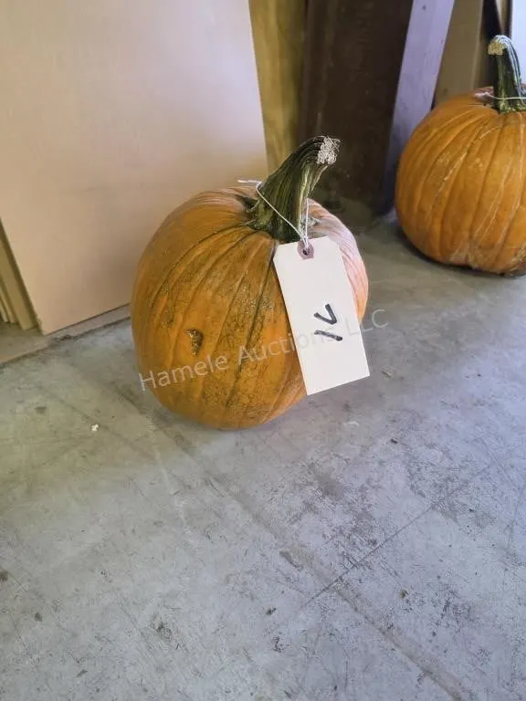 1 pumpkin